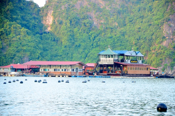 du_thuyen_rosa_9cabin